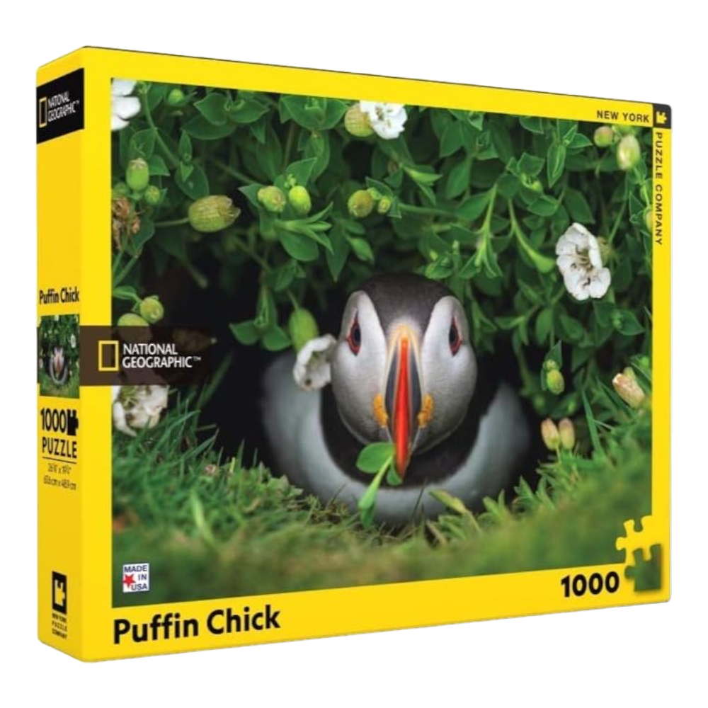 New York National Geographic Puzzle 1000 Pieces Puffin Chick