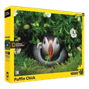 New York National Geographic Puzzle 1000 Pieces Puffin Chick