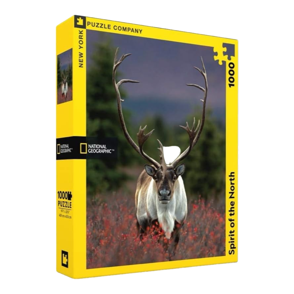 لغز نيويورك ناشيونال جيوغرافيك 1000 قطعة - روح الشمال