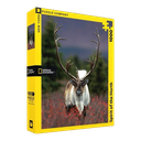 لغز نيويورك ناشيونال جيوغرافيك 1000 قطعة - روح الشمال