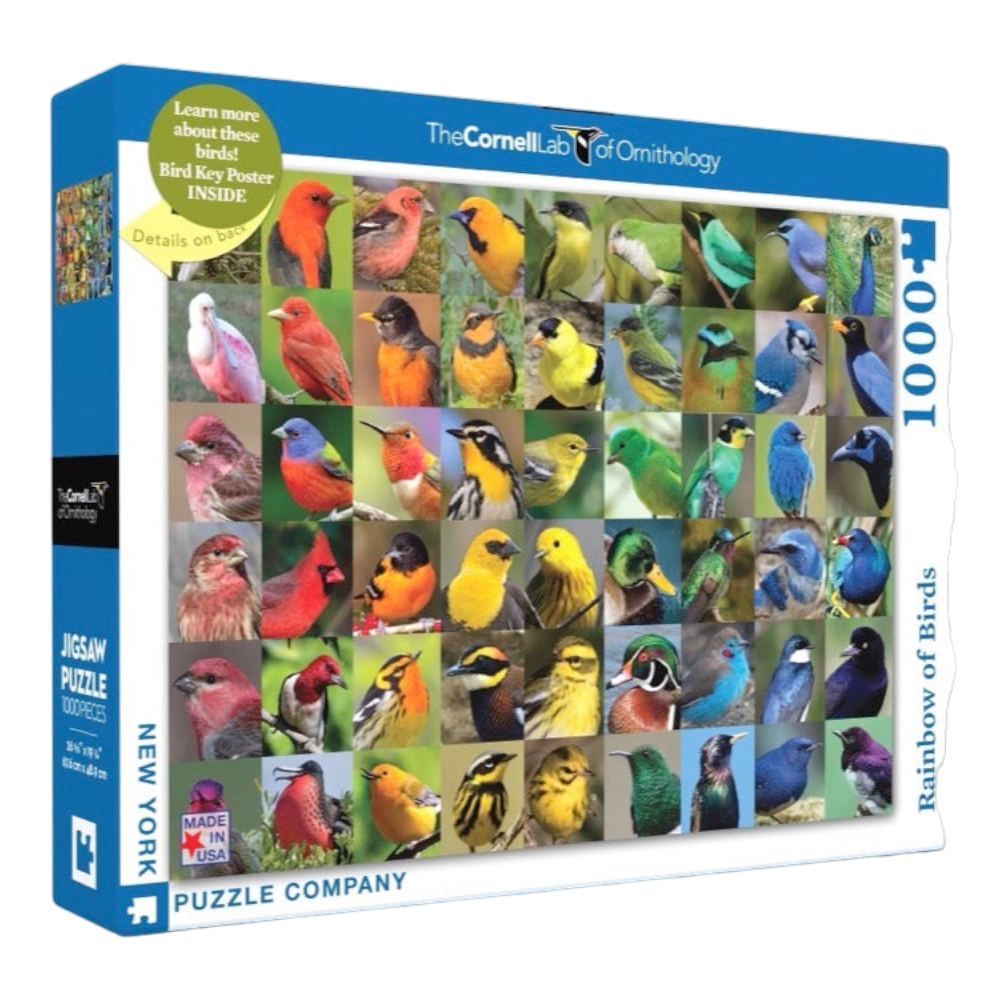 New York Puzzle 1000 Pieces Rainbow of Birds