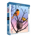 نيويورك بازل 1000 قطعة طيور بالتمور