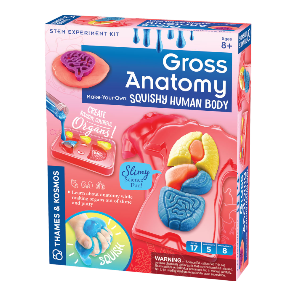 تيمز اند كوزموز مجموعة تجارب علمية لبناء الجسم البشري المثير والمطاطي | صنع نماذج ملونة لأعضاء الإنسان باستخدام الطين والملبن | مقدمة ممتعة وحسية لعلم التشريح البشري | 5 أنشطة ممتعة وشيقة