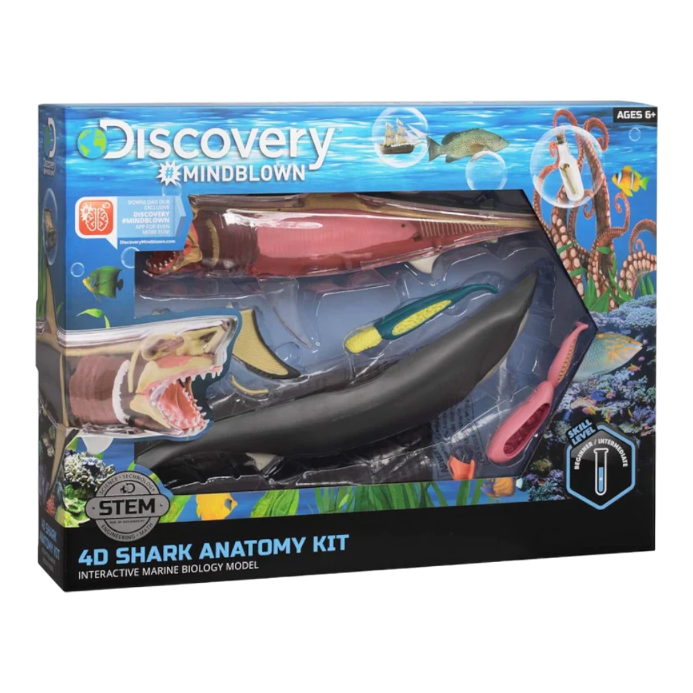 Discovery MINDBLOWN 4D Vision Great White Shark Anatomy Model